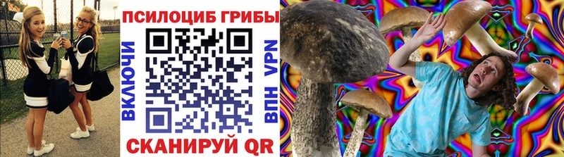 Псилоцибиновые грибы GOLDEN TEACHER  Купить закладки  Гай 